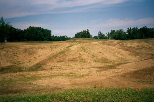 VICKSBURG1 4